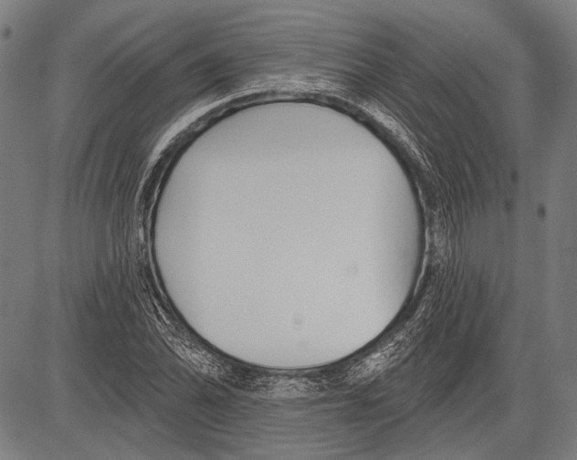 X0000081601070200702121543