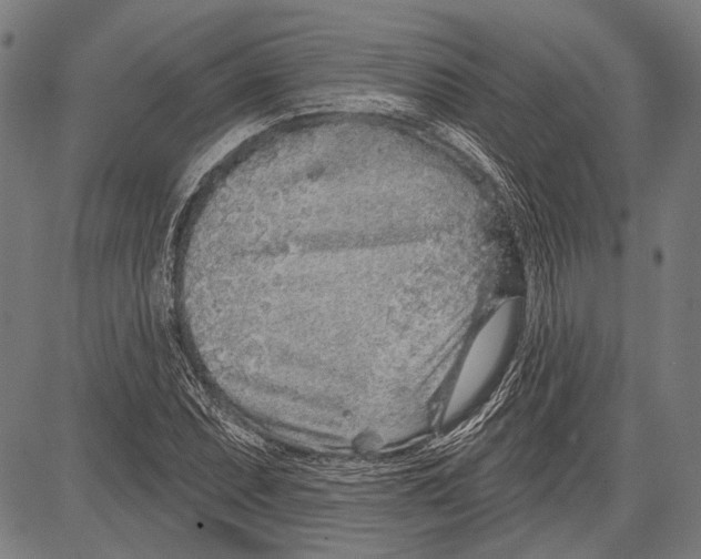 X0000081601071200702121543