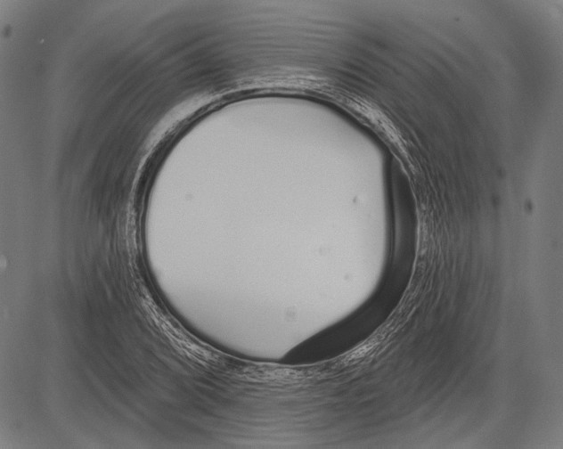 X0000081601072200702121543