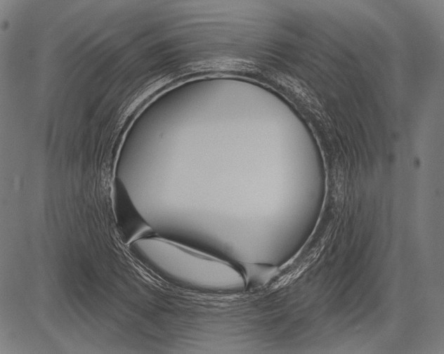 X0000081601073200702121543