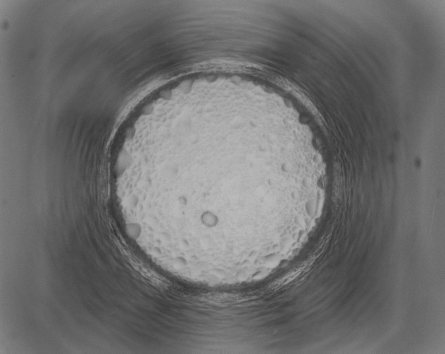 X0000081601075200702121543