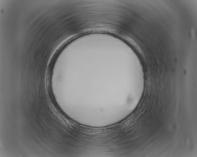 X0000081601076200702121543