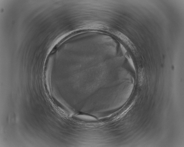 X0000081601077200702121543