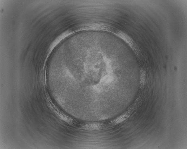 X0000081601078200702121543