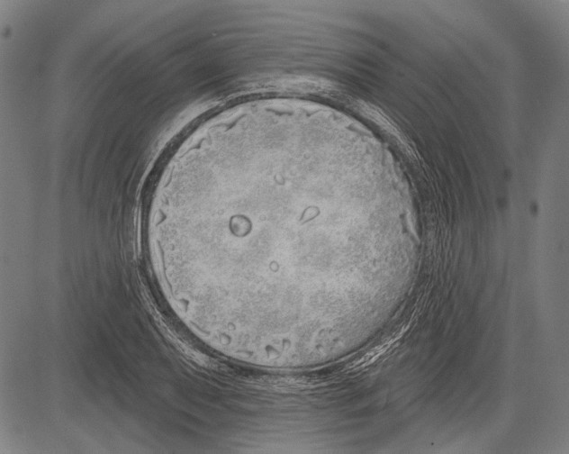 X0000081601079200702121543