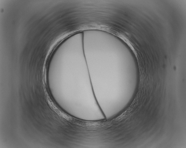 X0000081601080200702121543