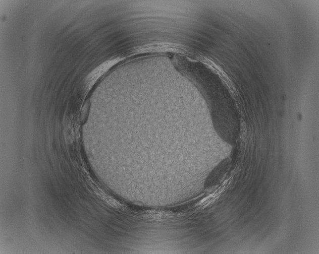 X0000081601081200702121543