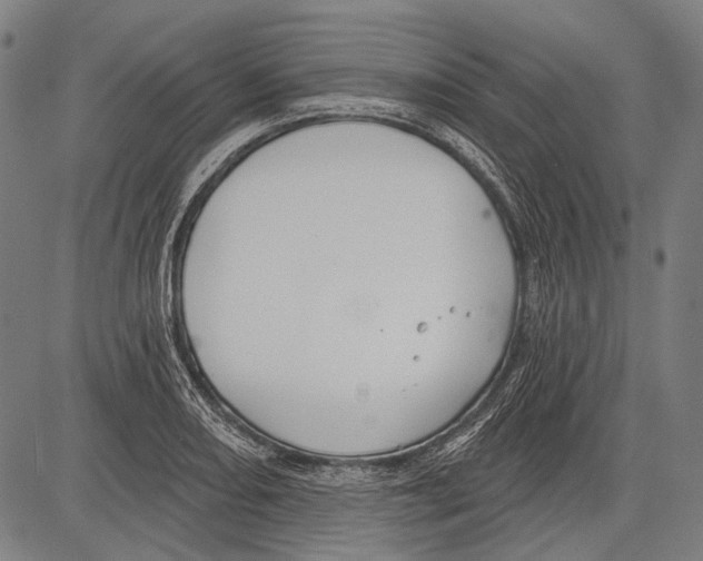 X0000081601082200702121543