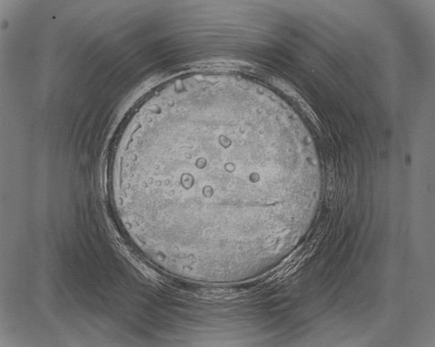 X0000081601083200702121543