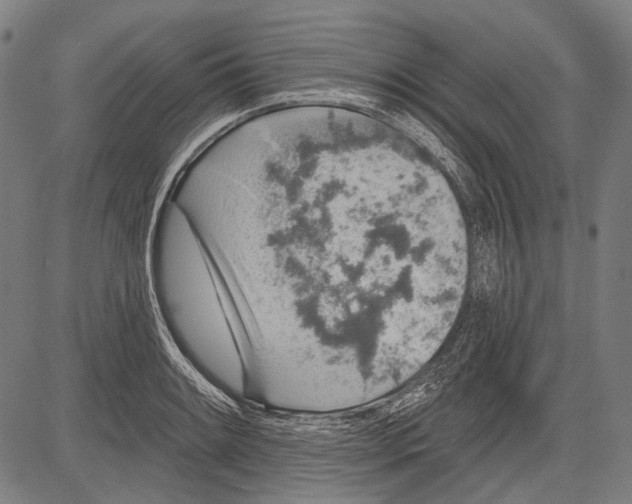 X0000081601084200702121543