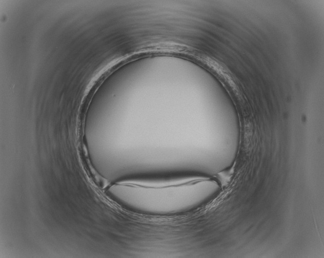 X0000081601085200702121543