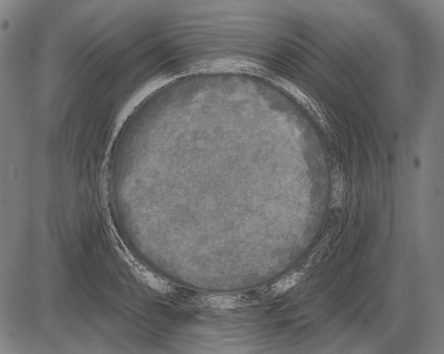 X0000081601086200702121543