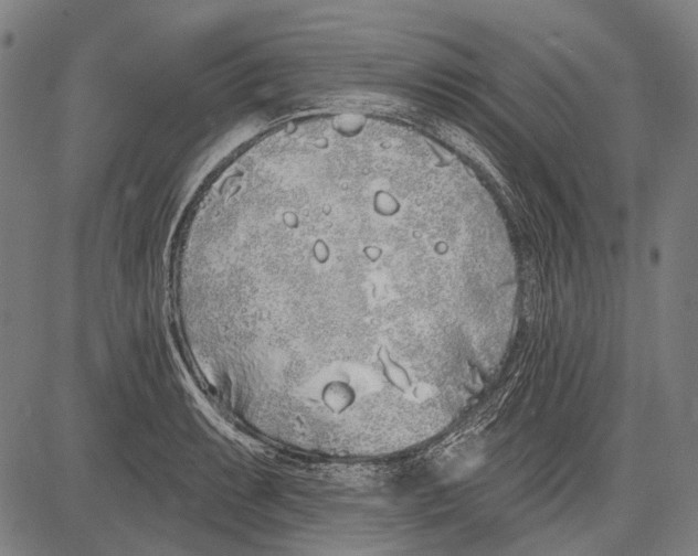 X0000081601087200702121543