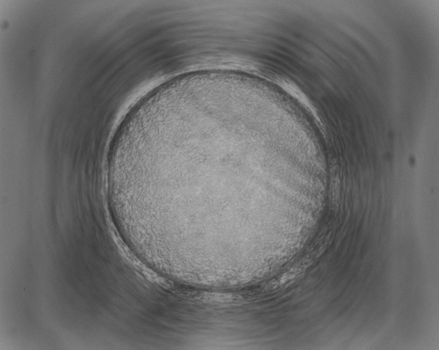 X0000081601088200702121543