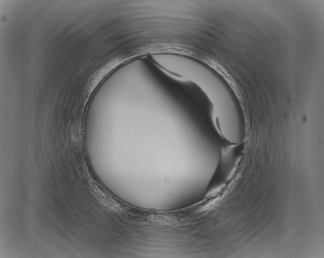 X0000081601089200702121543