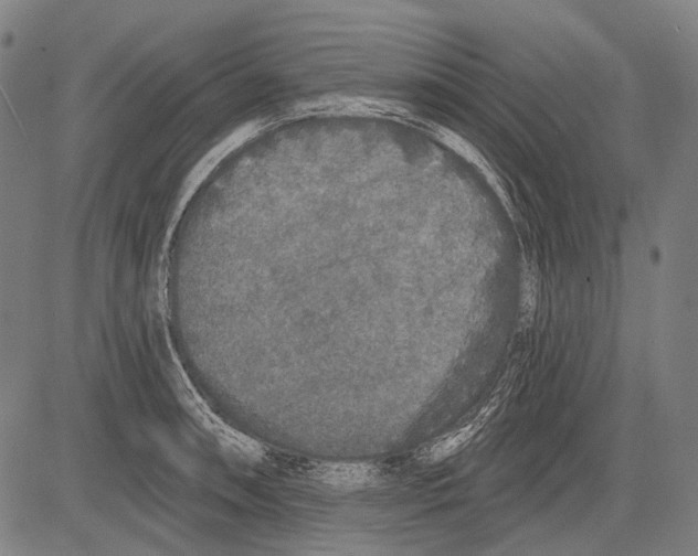 X0000081601090200702121543