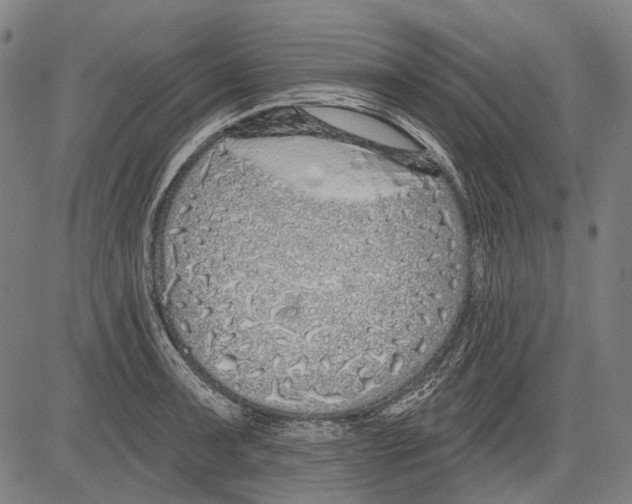 X0000081601091200702121543