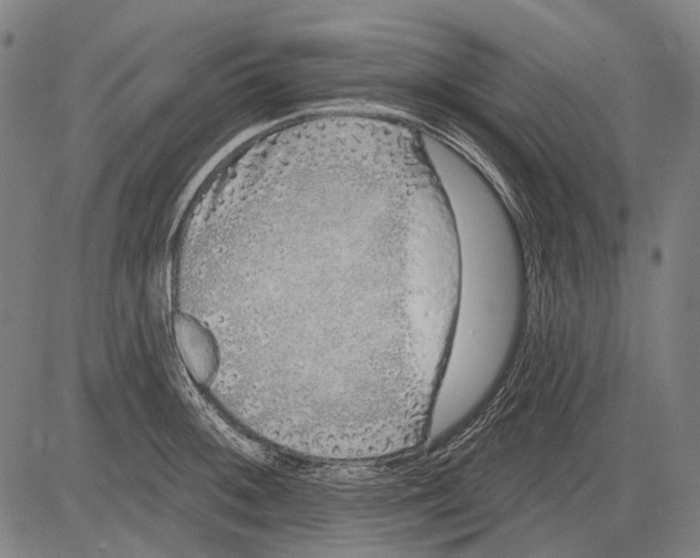 X0000081601092200702121543