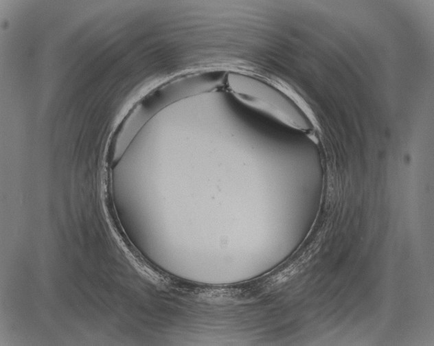 X0000081601093200702121543