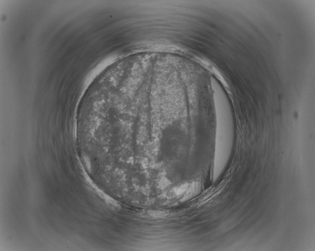 X0000081601095200702121543