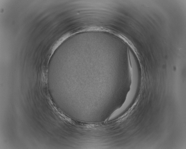 X0000081601097200702121543