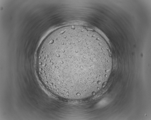 X0000081601099200702121543