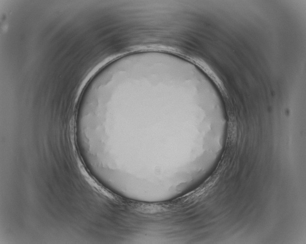 X0000081601100200702121543