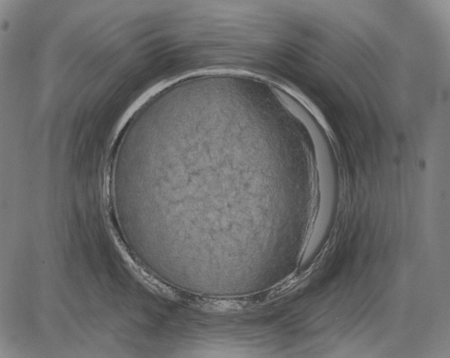 X0000081601101200702121543