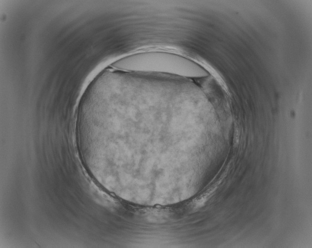 X0000081601102200702121543