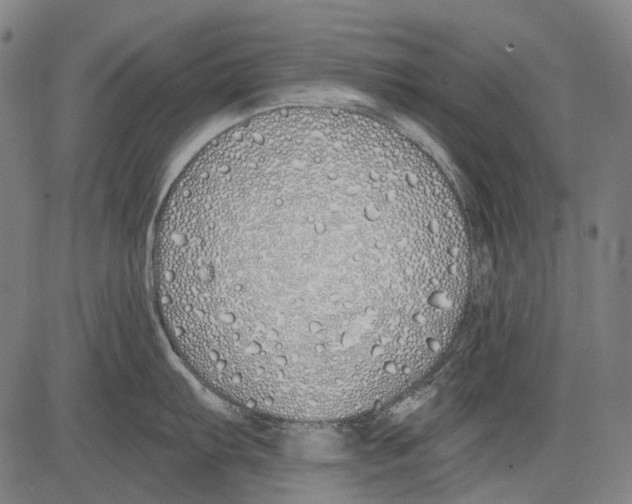 X0000081601103200702121543