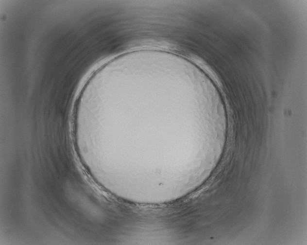 X0000081601104200702121543