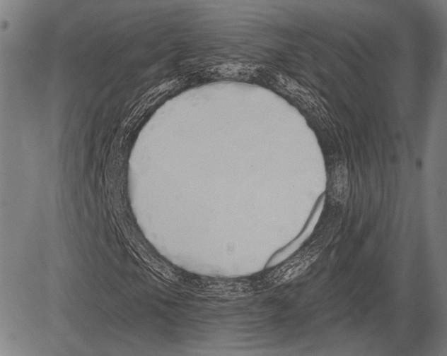 X0000081601105200702121542