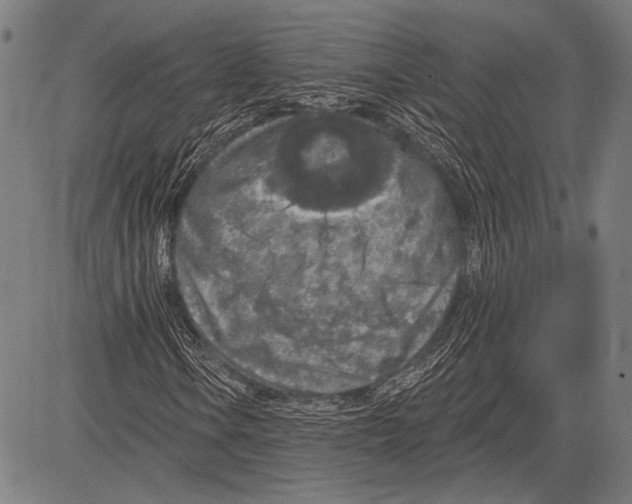 X0000081601106200702121542