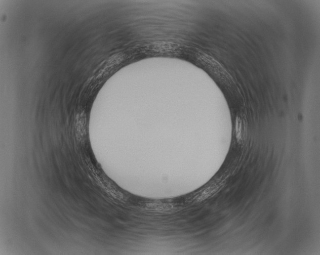 X0000081601107200702121542