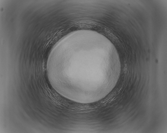 X0000081601108200702121542