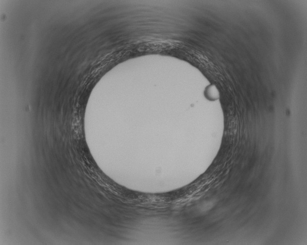 X0000081601109200702121542