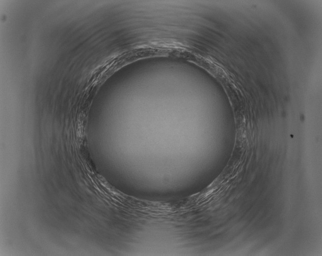 X0000081601110200702121542