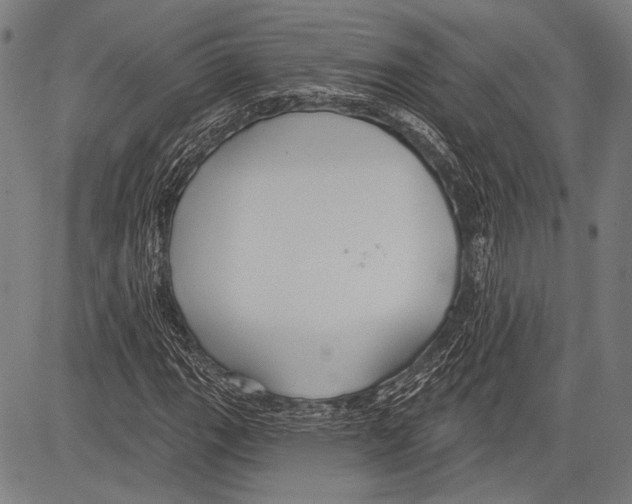 X0000081601111200702121542