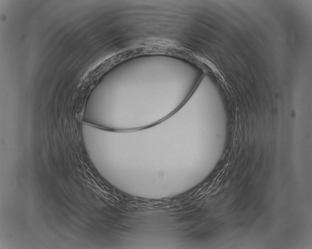 X0000081601112200702121542