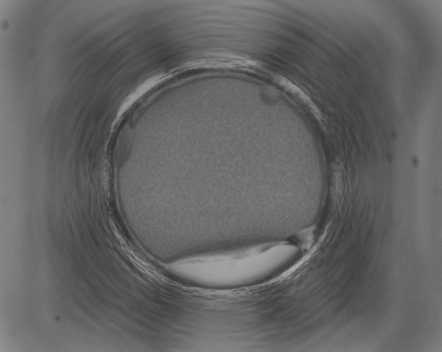 X0000081601114200702121542