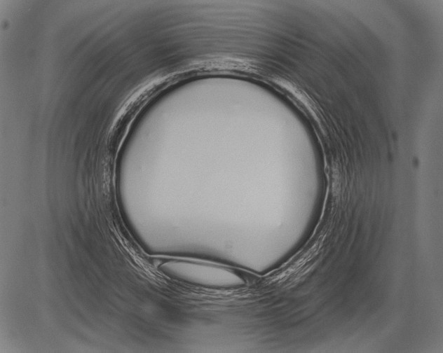 X0000081601115200702121542