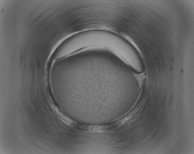 X0000081601116200702121542