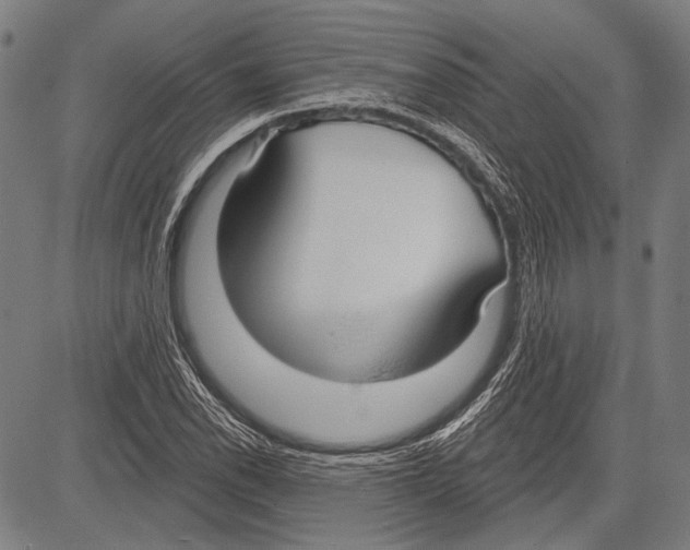 X0000081601118200702121542