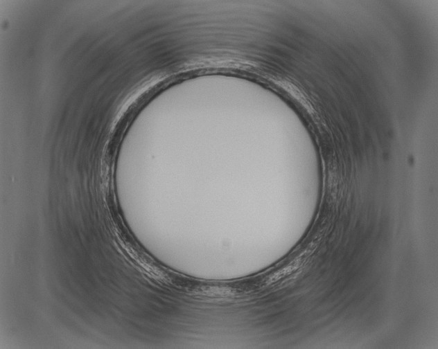 X0000081601119200702121542