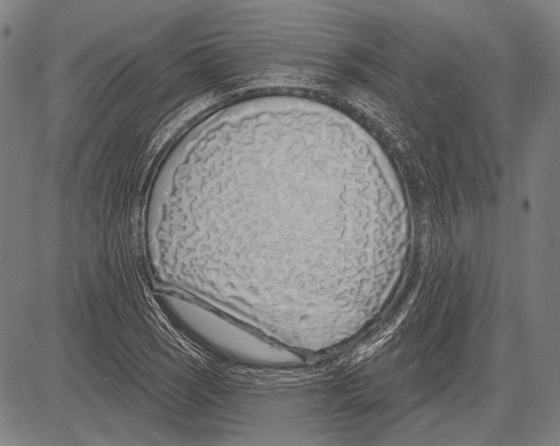 X0000081601121200702121542