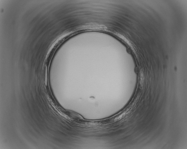 X0000081601123200702121542