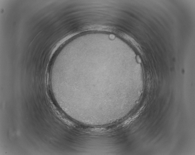 X0000081601125200702121542