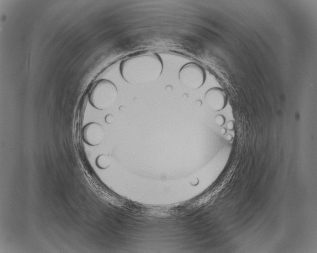 X0000081601126200702121542