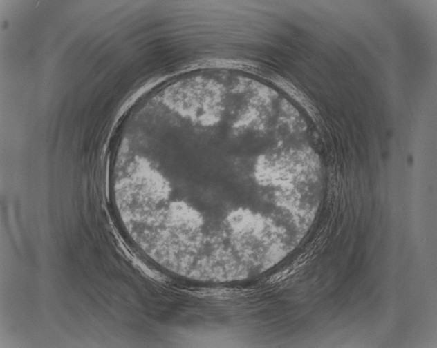 X0000081601127200702121542