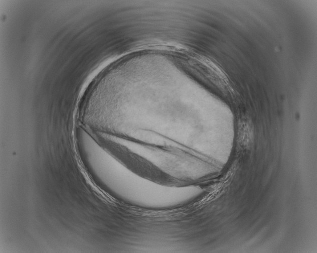 X0000081601128200702121542